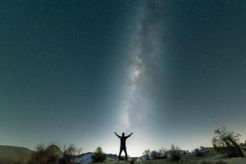 Somos el universo, somos la tierra.