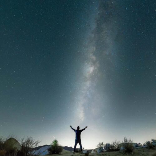 Somos el universo, somos la tierra.