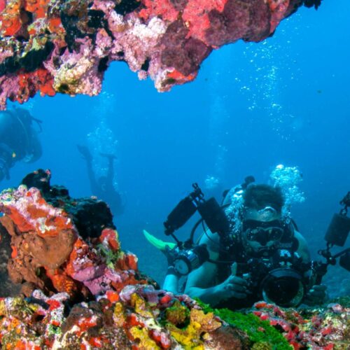 El Guía en el océano interior